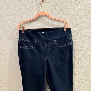 Style & CO Pull On Jeans